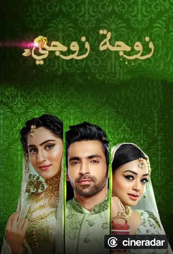 Bahu Begum