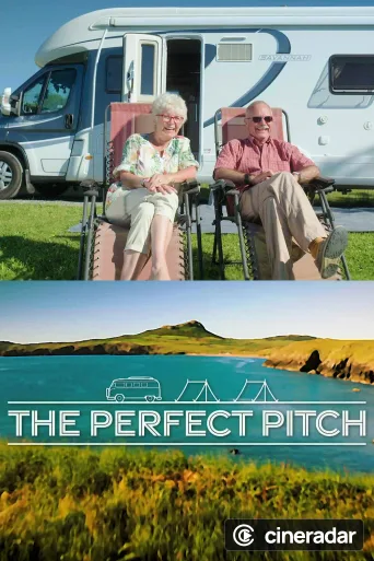 The Perfect Pitch