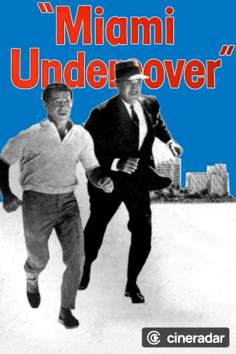 Miami Undercover