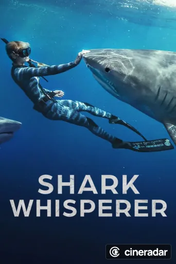 En paix avec les requins