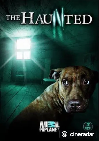 The Haunted