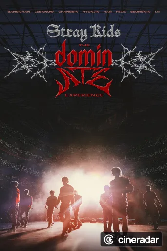 Stray Kids: The dominATE Experience