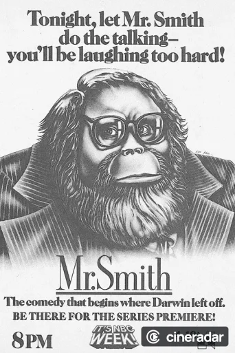 Mr. Smith
