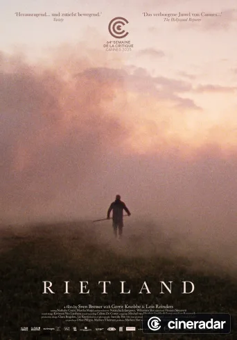 Reedland