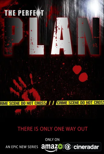 The Perfect Plan