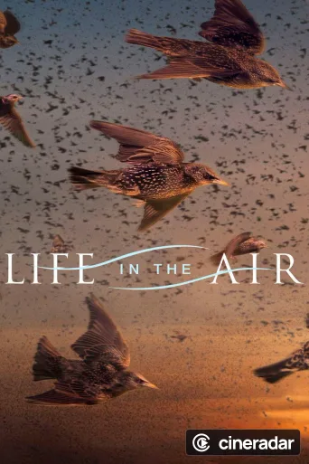 Life in the Air