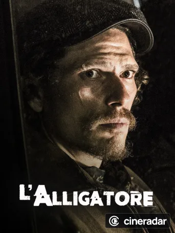 L'alligatore