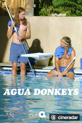 Agua Donkeys