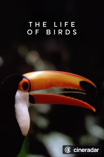 La Vida de las Aves