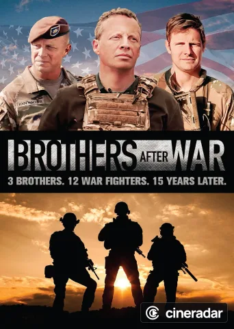 Brothers After War