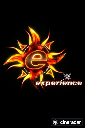 WWE Experience