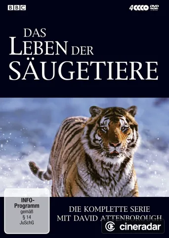 Das Leben der Säugetiere