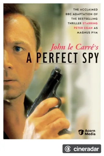 A Perfect Spy