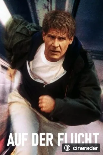 The Fugitive
