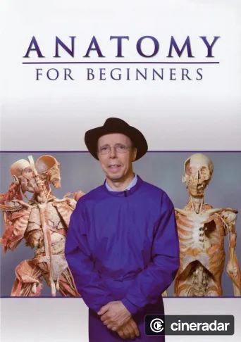 Anatomy for Beginners