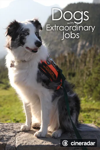 Ces chiens qui sauvent