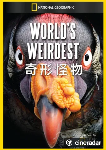 Verrückte Tierwelt