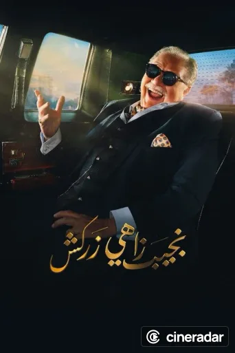 Naguib Zahi Zarkash