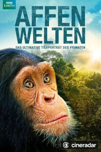Monkey Planet
