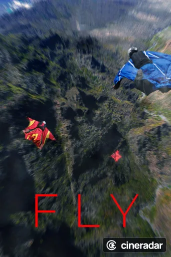 Fly