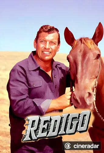 Redigo