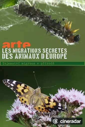 Migrations secrètes