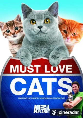 Verrückt nach Katzen