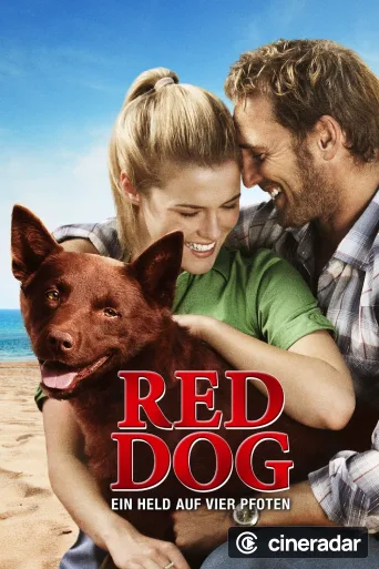 Red Dog