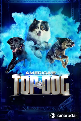 America's Top Dog