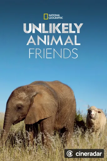 Unlikely Animal Friends