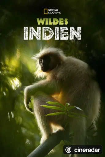 Secrets of Wild India