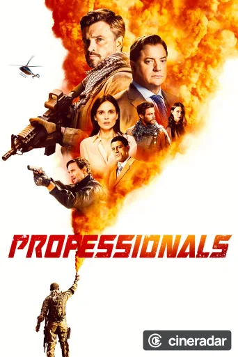 Professionals