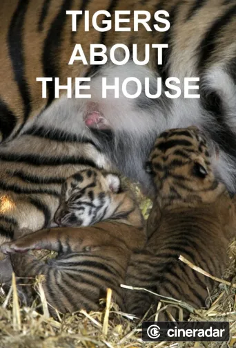 Tigers About the House