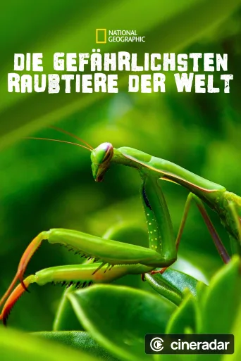 Un monde mortel