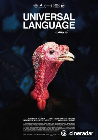 Universal Language