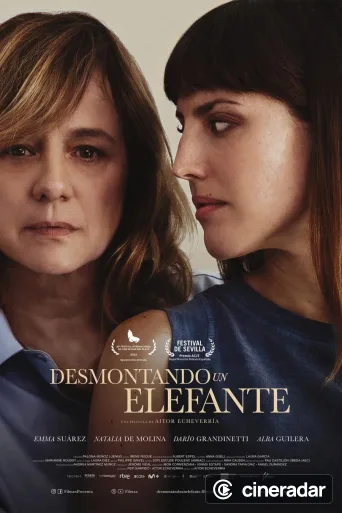 Desmontando un elefante