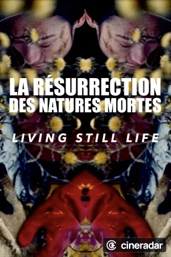 Living Still Life