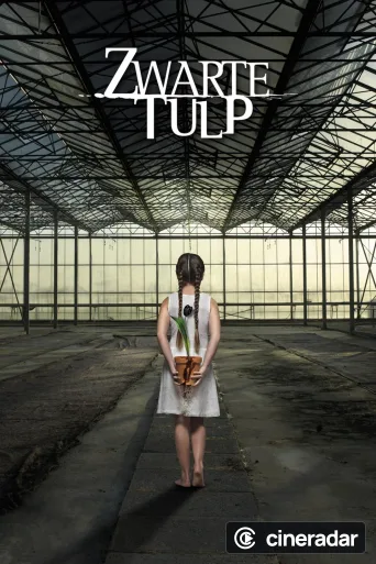 Zwarte Tulp