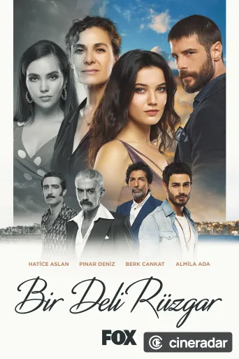 Bir Deli Rüzgar