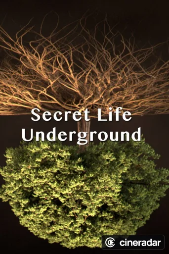 Secret Life Underground