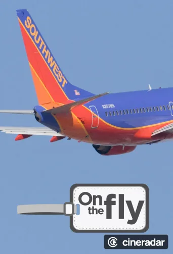 On the Fly
