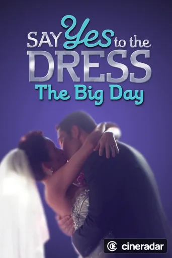 Say Yes to the Dress The Big Day