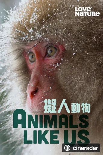 Animals Like Us