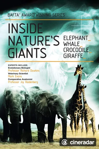 Inside Nature's Giants