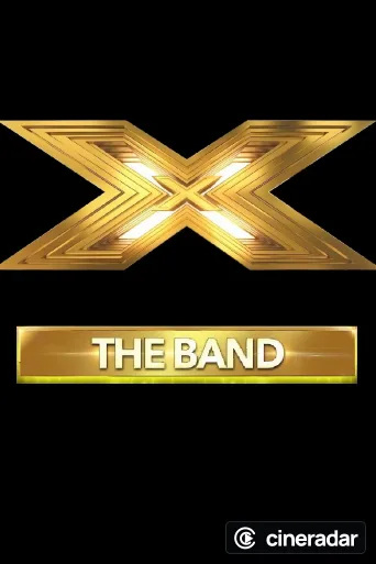 The X Factor The Band