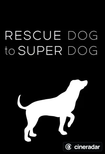 Rescue Dog to Super Dog