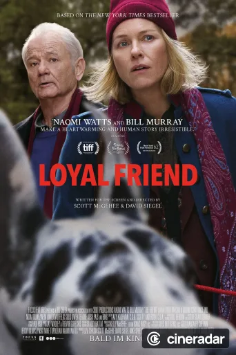 The Friend
