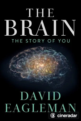 The Brain with David Eagleman