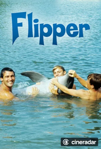 Flipper
