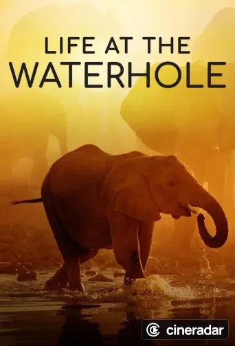 Life at the Waterhole